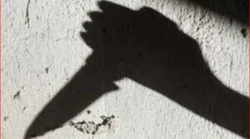 نزاع مع والدها يدفع امرأة لطعن طفلها في الصدر بسلاح حاد في الجيزة
