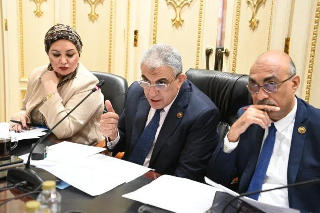 نستعرض تفاصيل قانون الزيادة السنوية ورفع الحافز الإضافي لموظفي الدولة