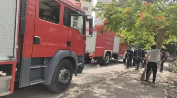نشوب حريق بين مجموعة من الأشجار في منطقة عمارات التوفيقية بمدينة نصر.. وإرسال سيارات الإطفاء لإخماده