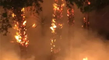 نشوب حريق في متجر لقطع غيار السيارات في السلام