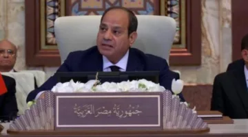 نص خطاب الرئيس السيسي في القمة العربية بالعراق