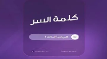 نصائح أساسية من إنستاباي لوقاية مستخدمي التطبيق من عمليات الاحتيال