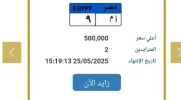 «نصف مليون قد تم الوصول إليها».. المرور يعلن عن زيادة في سعر لوحة سيارة مميزة