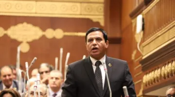 “نصير”: قانون انتخابات “الشيوخ” يعزز مبادئ الجمهورية في تمثيل مختلف شرائح المجتمع