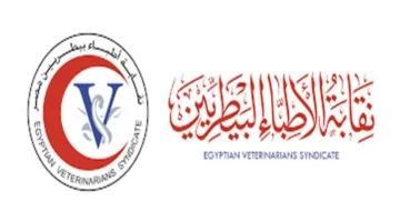نقابة الأطباء البيطريين تكشف عن استراتيجيتها لتعزيز تطوير الثروة الحيوانية
