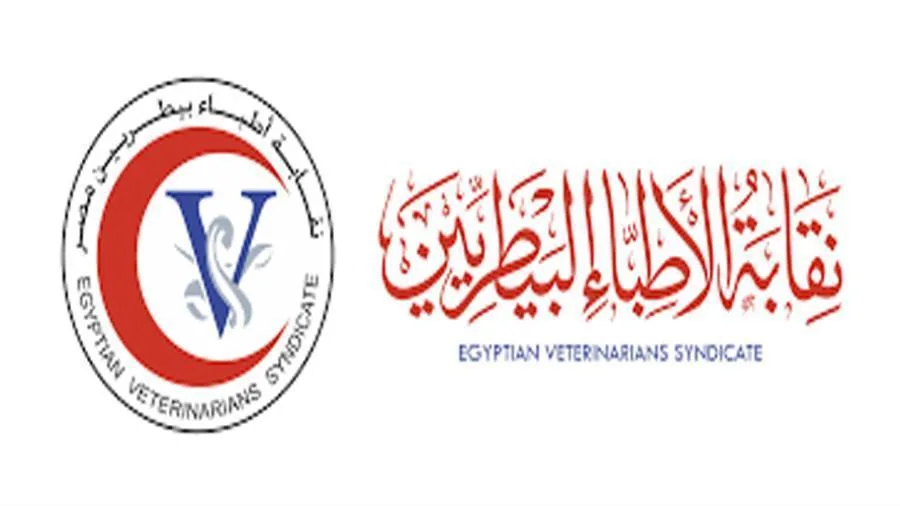 نقابة الأطباء البيطريين تكشف عن استراتيجيتها لتعزيز تطوير الثروة الحيوانية نقابة الأطباء البيطريين تكشف عن استراتيجيتها لتعزيز تطوير الثروة الحيوانية