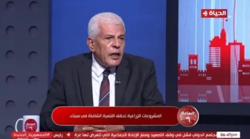 نقيب الزراعيين: بذور معتمدة وتقنيات حديثة تعزز الإنتاجية في زراعة القمح (فيديو)