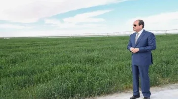 نقيب الفلاحين: الحكومة وفرت دعمًا غير عادي للمزارعين في مجال التأمينات والتعويضات.