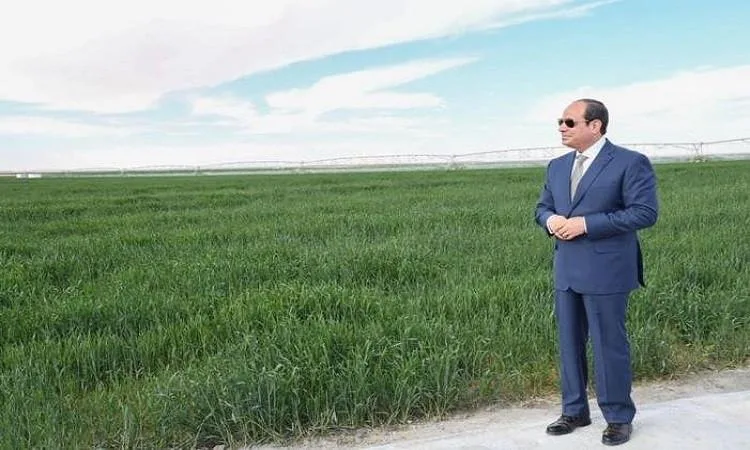 نقيب الفلاحين: الحكومة وفرت دعمًا غير عادي للمزارعين في مجال التأمينات والتعويضات. نقيب الفلاحين: الحكومة وفرت دعمًا غير عادي للمزارعين في مجال التأمينات والتعويضات.