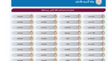 نماذج استرشادية جديدة لامتحانات الثانوية العامة في الرياضيات التطبيقية.. حمل الآن