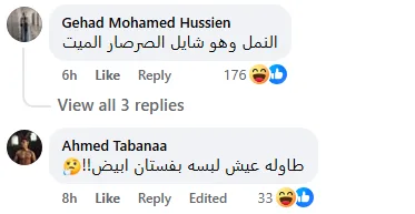 “نمل يحمل جندب” .. ملايين المشاهدات لدخول غير تقليدي لعروس في حفل زفاف شعبي “نمل يحمل جندب” .. ملايين المشاهدات لدخول غير تقليدي لعروس في حفل زفاف شعبي