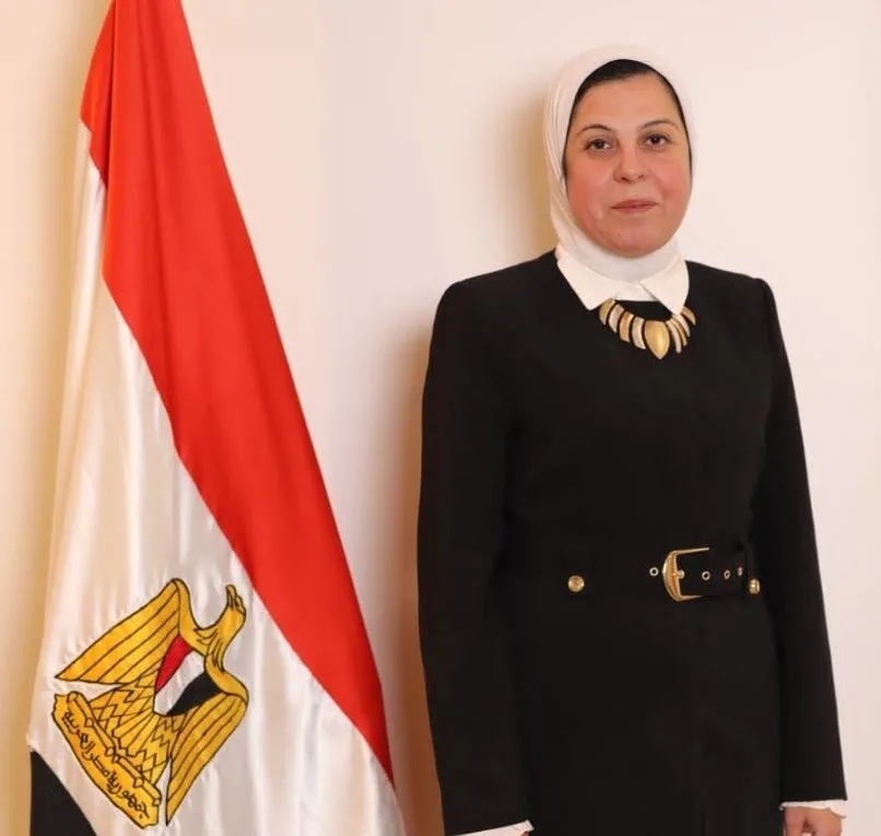 المديرة التنفيذية للهلال الأحمر آمال إمام تتحدث لـ«الشروق»: نتعاون مع الأمم المتحدة والهلال الفلسطيني لإيصال المساعدات إلى غزة رغم القيود الإسرائيلية المديرة التنفيذية للهلال الأحمر آمال إمام تتحدث لـ«الشروق»: نتعاون مع الأمم المتحدة والهلال الفلسطيني لإيصال المساعدات إلى غزة رغم القيود الإسرائيلية
