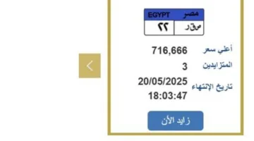 نهاية التزايد غدًا.. «المرور» تعرض لوحة سيارة فريدة بسعر 716 ألف جنيه