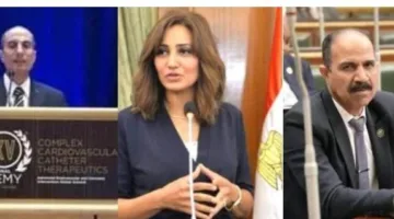 نواب الوادي الجديد يطالبون بإنشاء مراكز لعلاج الإدمان ويدعمون خطة التنمية الاقتصادية والاجتماعية في المجلس النيابي