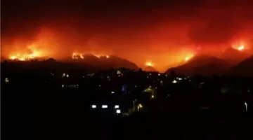 نيران هائلة تجتاح الغابات والحقول في الجبل الأخضر شرق ليبيا