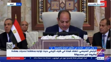 هاني الجمل: القمة العربية في بغداد عززت تأييد القضية الفلسطينية