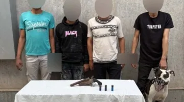 هجوم باستخدام الأسلحة والكلاب: وزارة الداخلية تكشف تفاصيل مشاجرة بولاق الدكرور