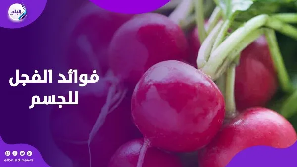 هل تعرف ماذا يفعل الفجل الأحمر بجسمك؟