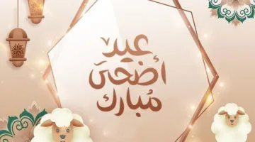هل يسمح بذبح الأضحية في يوم عرفة؟