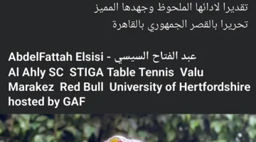 هنا جودة تحتفل بتتويجها بنوط الامتياز من رئاسة الجمهورية