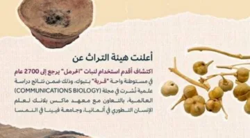 هيئة التراث تكشف النقاب عن أقدم استخدام للحَرْمَل يعود إلى 2700 عام مضت