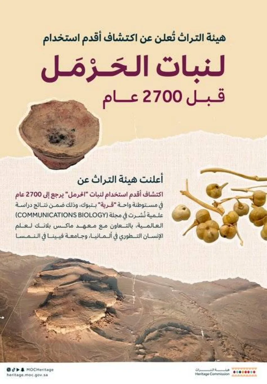 هيئة التراث تكشف النقاب عن أقدم استخدام للحَرْمَل يعود إلى 2700 عام مضت هيئة التراث تكشف النقاب عن أقدم استخدام للحَرْمَل يعود إلى 2700 عام مضت