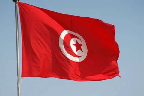 “واحة الثورة”: مبادرة اجتماعية مبتكرة تتيح نموذجًا للإدارة المشتركة في تونس “واحة الثورة”: مبادرة اجتماعية مبتكرة تتيح نموذجًا للإدارة المشتركة في تونس