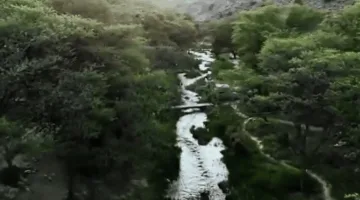 وادي الحمدة: منظر طبيعي ساحر وسط جبال الباحة