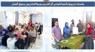 ورش عمل في المنيا لتقييم تأثير التدريب وتوصيل المتدربين بسوق العمل