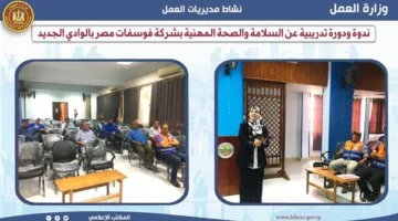 ورشة عمل متخصصة في السلامة والصحة المهنية في “هيئة العمل بالوادي الجديد”