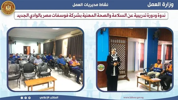 ورشة عمل متخصصة في السلامة والصحة المهنية في “هيئة العمل بالوادي الجديد” ورشة عمل متخصصة في السلامة والصحة المهنية في “هيئة العمل بالوادي الجديد”