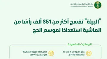 وزارة البيئة تخصّص أكثر من 351 ألف رأس من الماشية في إطار استعداداتها لموسم الحج 1446هـ