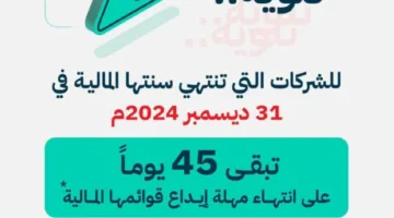 وزارة التجارة تطلب من الشركات تقديم تقاريرها المالية لعام 2024م