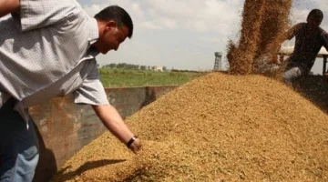 وزارة التموين تستعرض إمكانية زيادة استيراد القمح من بلغاريا