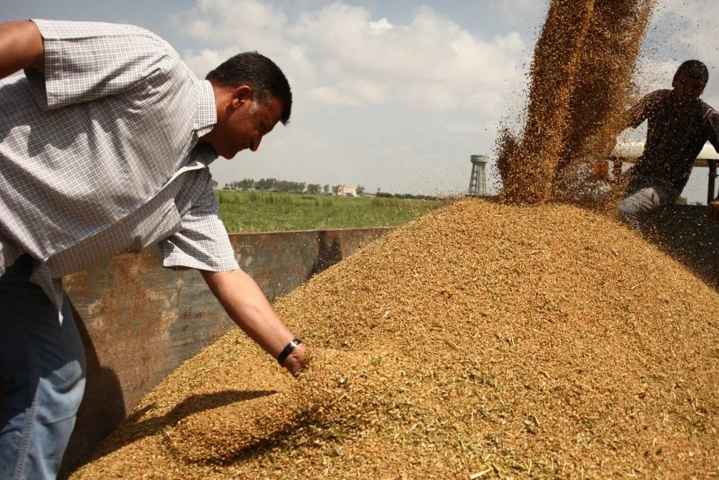 وزارة التموين تستعرض إمكانية زيادة استيراد القمح من بلغاريا وزارة التموين تستعرض إمكانية زيادة استيراد القمح من بلغاريا