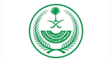 وزارة الداخلية: تنفيذ حكم الإعدام بحق أحد الجناة في المنطقة الشرقية