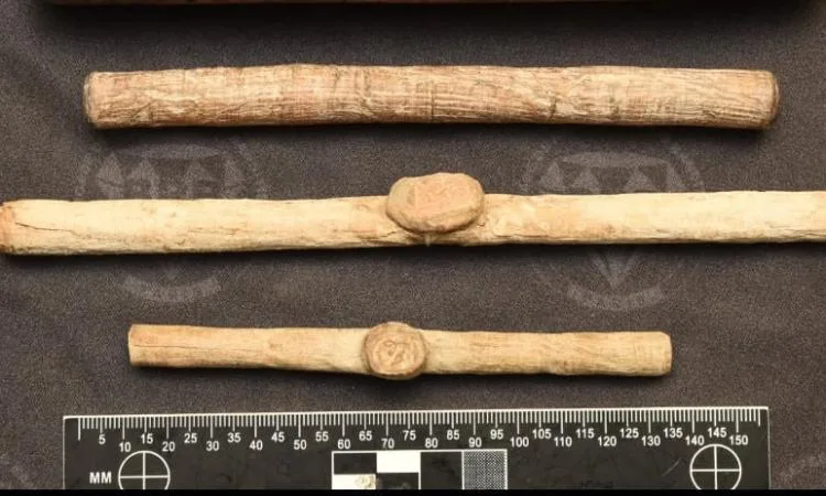 وزارة السياحة والآثار تستلم 7 قطع أثرية مُعَادة من فرنسا وزارة السياحة والآثار تستلم 7 قطع أثرية مُعَادة من فرنسا