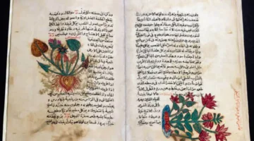 وزارة السياحة والآثار تُحيي يوم المتاحف العالمي