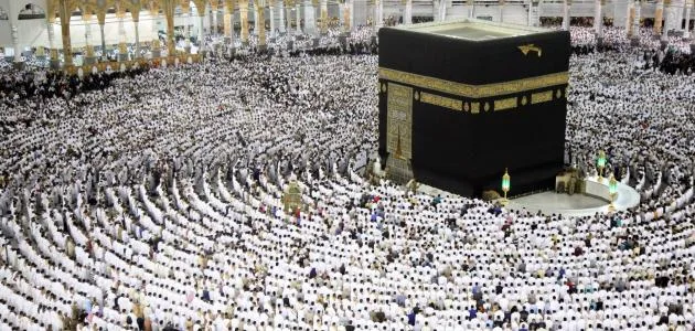 جهود مكثفة للحملات استعدادًا لموسم الحج جهود مكثفة للحملات استعدادًا لموسم الحج