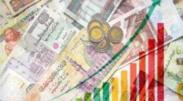 وزارة الصناعات الغذائية: قرار تقليص الفائدة يعد خطوة استراتيجية لتعزيز الاستثمار المحلي