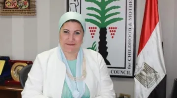 وزارة الطفولة والأمومة تتدخل لحماية الطفلة المعتدى عليها في حادثة الفيديو المتداول بمنطقة المهندسين