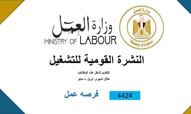 وزارة العمل: 4424 فرصة عمل جديدة للشباب في 72 شركة خاصة في 12 محافظة