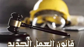 وزارة العمل: التشريع الجديد يعزز حقوق الإنسان للعامل.