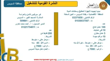 وزارة العمل تطرح فرص عمل جديدة في محافظة السويس.. اكتشف التفاصيل