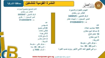 وزارة العمل تطرح فرص عمل جديدة في محافظة الشرقية.. اكتشف التفاصيل