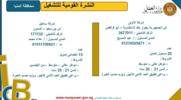 وزارة العمل تعلن عن فرص عمل جديدة في محافظة المنيا.. استكشف التفاصيل