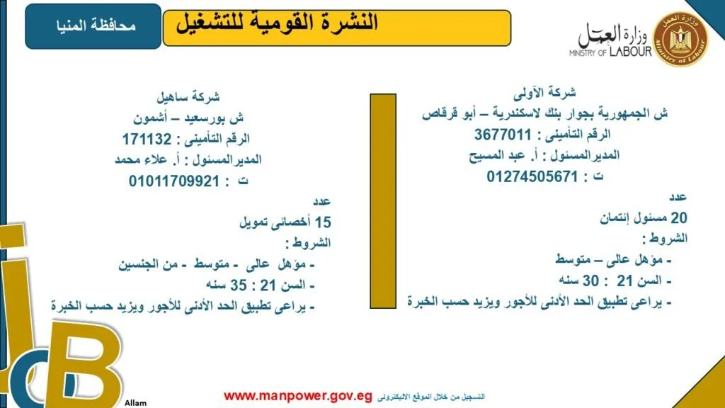 وزارة العمل تعلن عن فرص عمل جديدة في محافظة المنيا.. استكشف التفاصيل وزارة العمل تعلن عن فرص عمل جديدة في محافظة المنيا.. استكشف التفاصيل