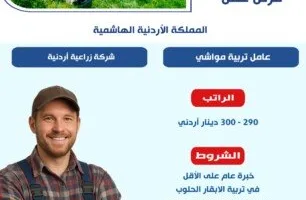 وزارة العمل: تقديم 5 فرص عمل في قطاع تربية المواشي في الأردن