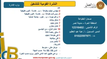 وزارة العمل تكشف عن فرص عمل جديدة في القاهرة.. اكتشف التفاصيل