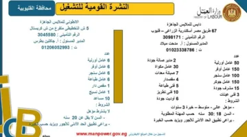 وزارة العمل تكشف عن فرص عمل جديدة في محافظة القليوبية.. اكتشف التفاصيل